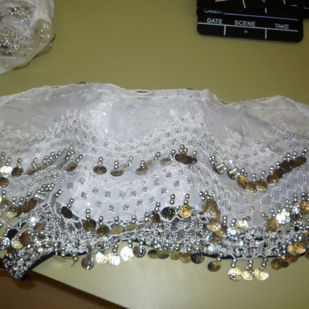 Belly Dance Coin skirt